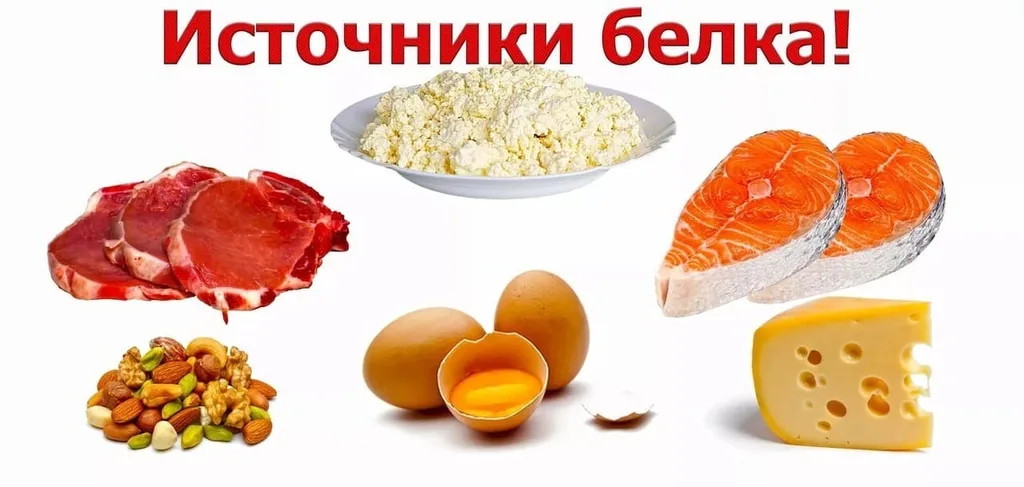Продукты — источники белка: мясо, творог, лосось, яйца, сыр и орехи.